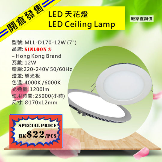 Ceiling Light