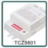 21CZ10912